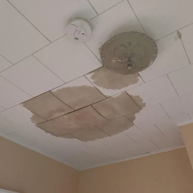 Ceiling Water Damage Repair in City of Manassas Park, VA