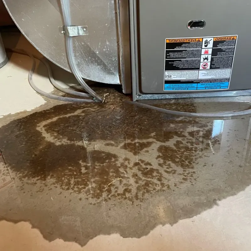 Pipe Burst and Leak Restoration in City of Manassas Park, VA